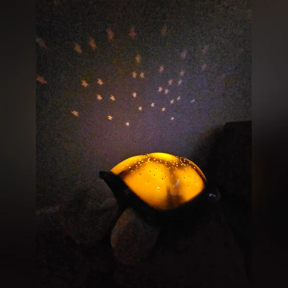 Cloud B Starry Night Turtle Night Light - Picture 7 of 8